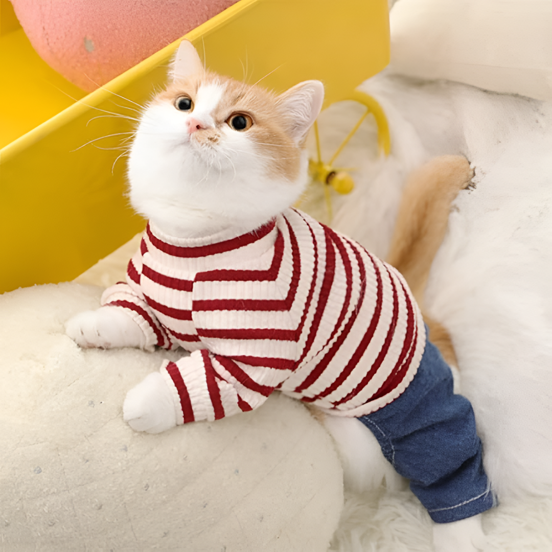 Stylish and Functional Pet Clothing